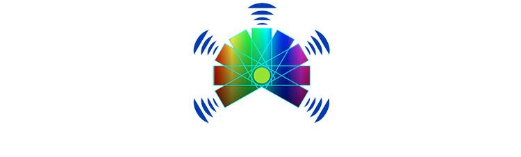 logo pnls