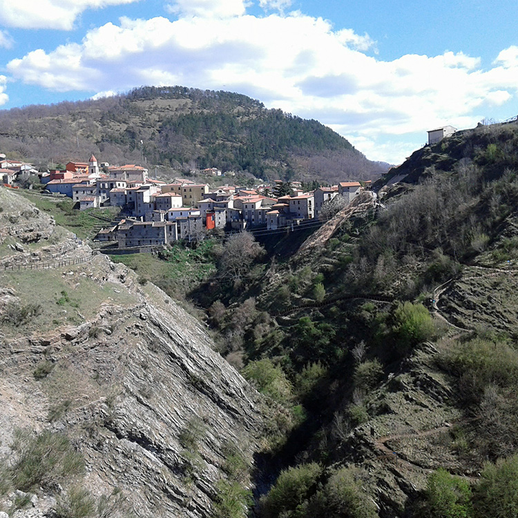 universita basilicata laurea triennale