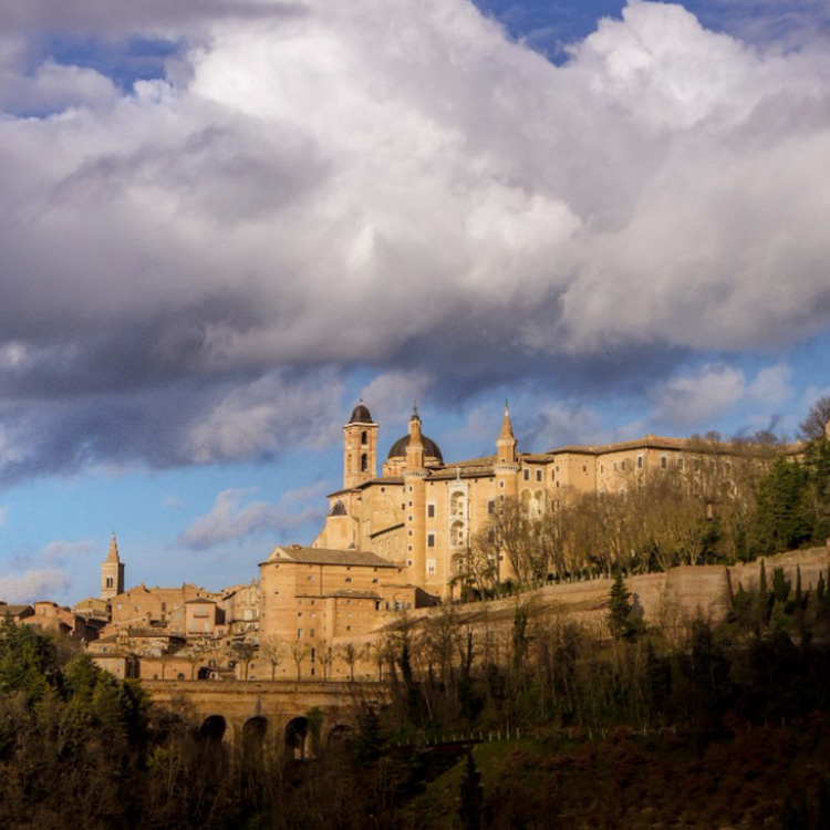 universita urbino laurea triennale